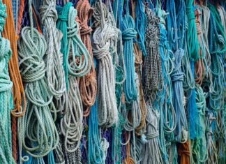 Jak unieruchomić kota do czesania?