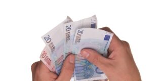 Czy można pożyczyć transporter dla kota?