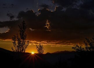 Co można zrobić coś łatwego do jedzenia?