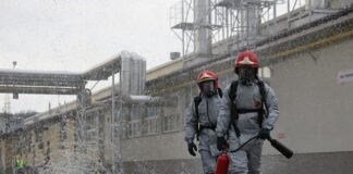 Jak sprawdzić czy to zatrucie grzybami? Jak sprawdzić czy to zatrucie grzybami?