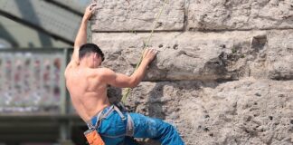 Z czego zrobić ścianki w terrarium?