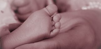 Czy nóżki grzybów są jadalne? Czy nóżki grzybów są jadalne?