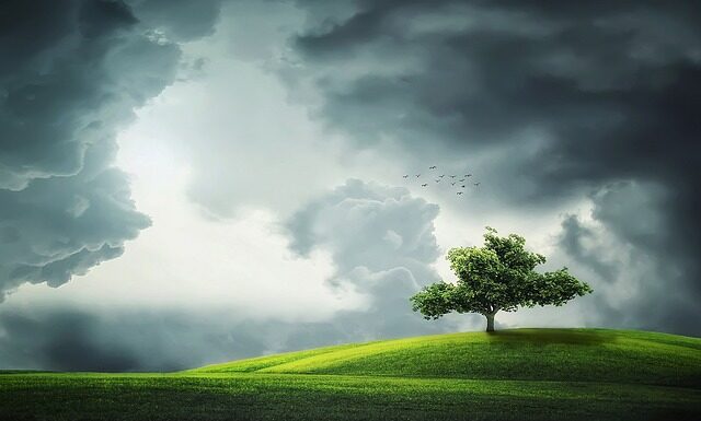 Z czego zrobić zielony krem do tortu?