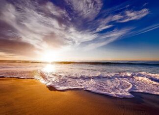 Czy picie kawy hamuje wzrost? Czy picie kawy hamuje wzrost?