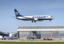Czy w Ryanair można przewozić psy?