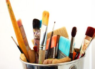 Jak często czesać kota furminatorem?