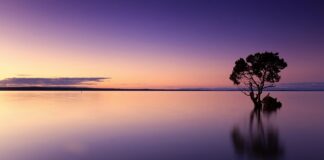 Jakie testy do wody w akwarium?