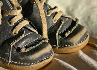 Jak nauczyć kota czego nie wolno?