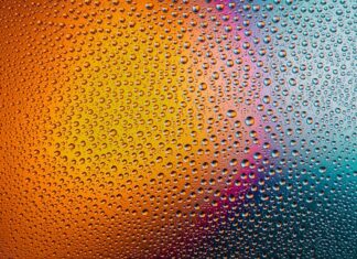 Jak i czym myć psu zęby?