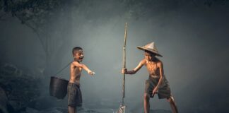 Jak długo trzymać ryby w solance?