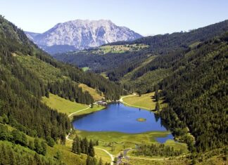 Jak długo trzeba wędzić pstrąga?