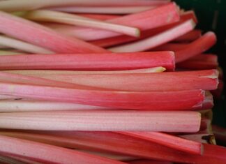 Czy obiera się ogonki od grzybów?