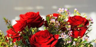 Jaki jest najdroższy ser na świecie?