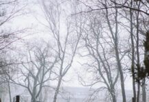 Personalizacja nagrobka granitowego dzięki współpracy z kamieniarzem nagrobki Józefów