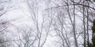 Personalizacja nagrobka granitowego dzięki współpracy z kamieniarzem nagrobki Józefów